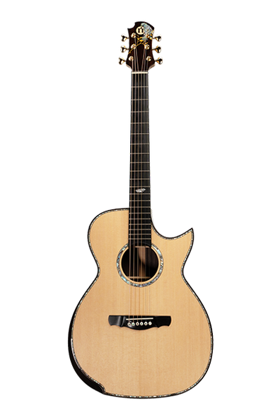 Daniel Padim - Orchestra Cutaway Model II (OMDP-II)
